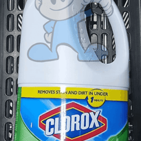 Clorox Clean-Up All Purpose Cleaner With Bleach Fresh Scent (2 X 2L) Household Supplies