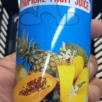 Gina Tropical Fruit Juice (6 X 240 Ml) Groceries