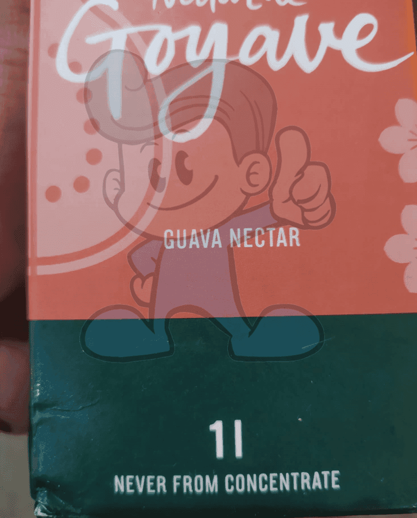 Le Fruit Guava Nectar (2 X 1L) Groceries