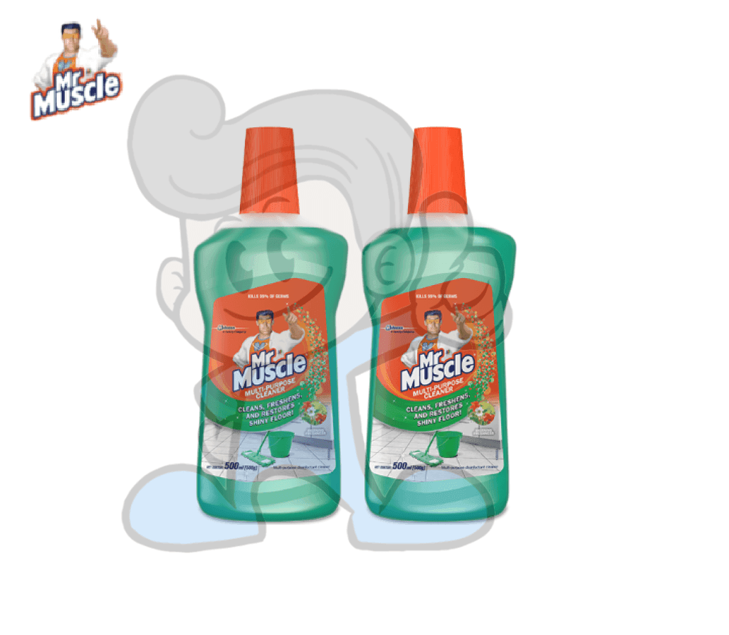 Scj Mr Muscle All Purpose Cleaner Morning Freshness (2 X 500 Ml) Household Supplies