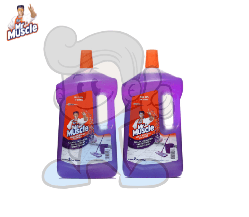 Scj Mr Muscle All Purpose Cleaner Wild Lavender (2 X 2L) Household Supplies