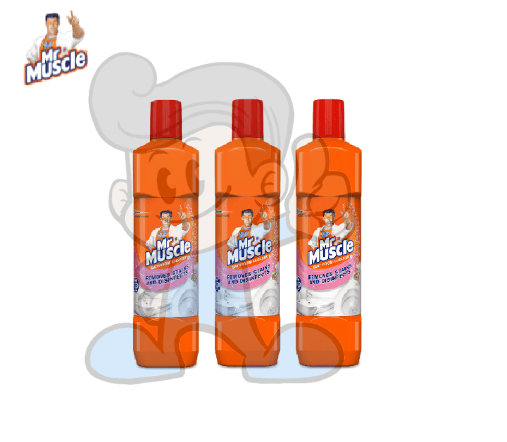 Scj Mr Muscle Bathroom Cleaner Floral (3 X 450 Ml) Household Supplies